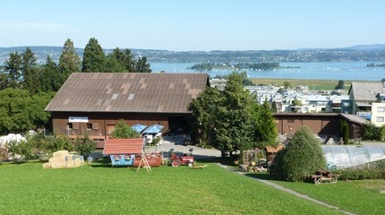 Hofbild