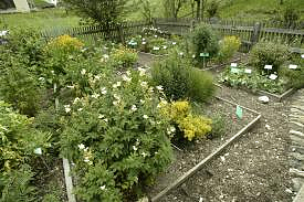 Kräutergarten
